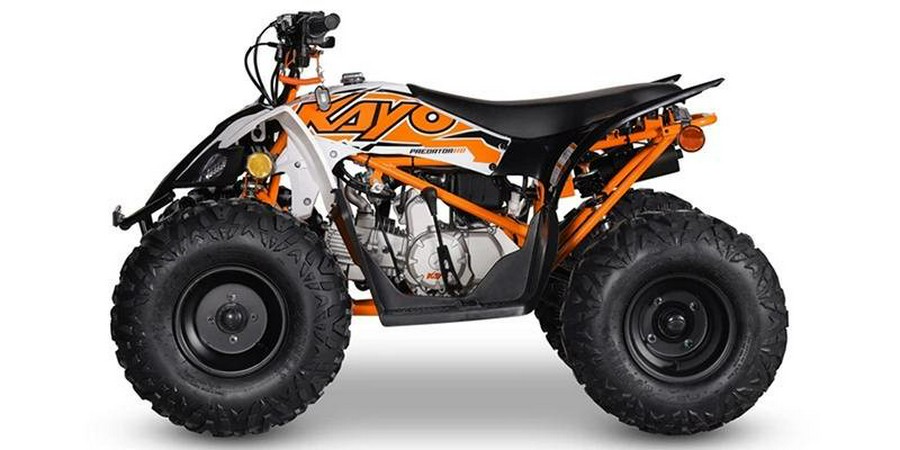 2025 Kayo PREDATOR 110