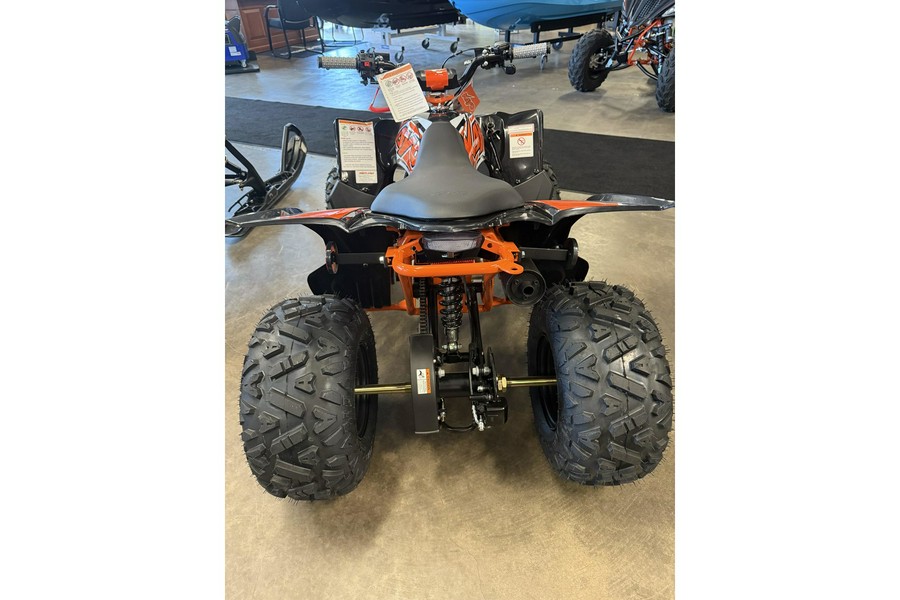 2025 Kayo PREDATOR 110