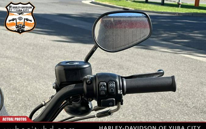 2020 Harley-Davidson Iron 883