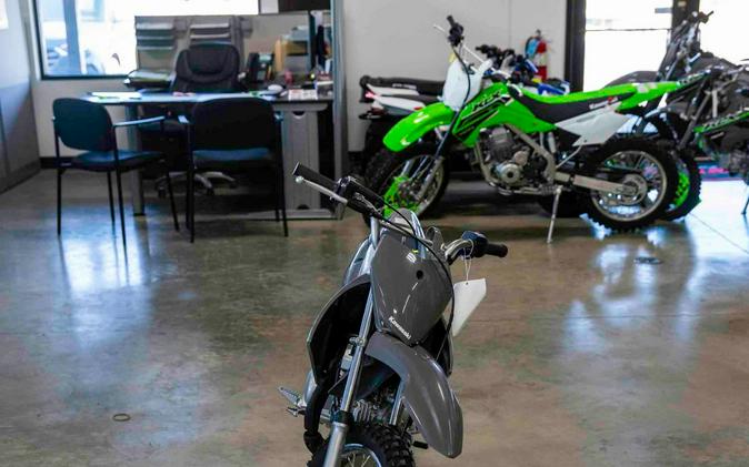 2024 Kawasaki KLX 110R