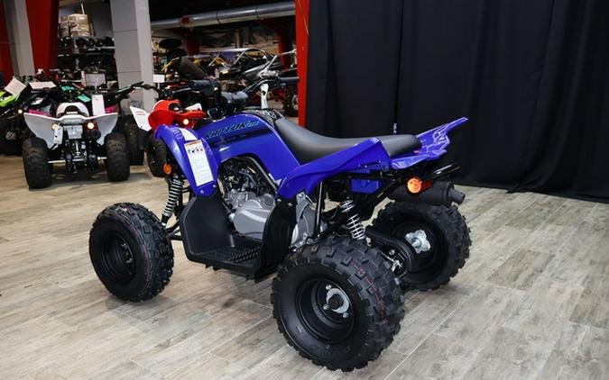 2025 Yamaha Raptor 110