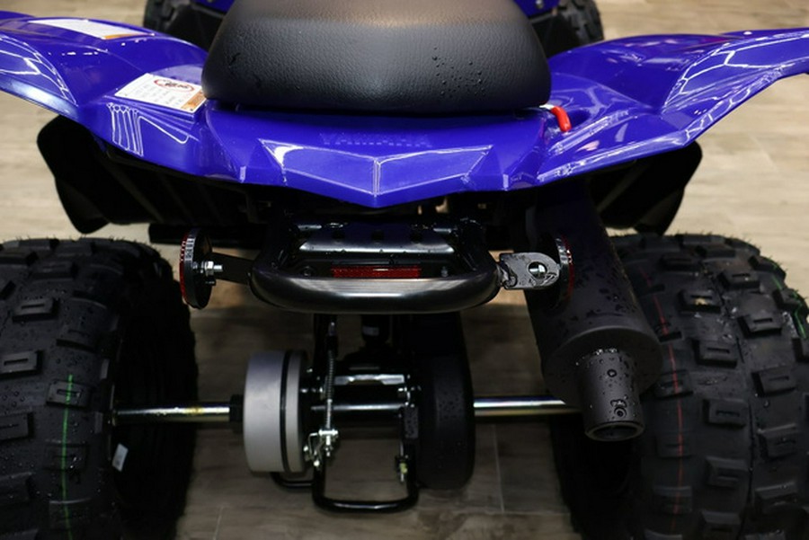 2025 Yamaha Raptor 110