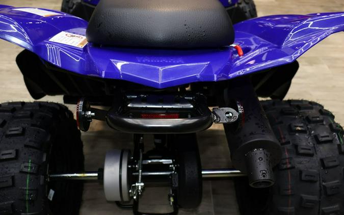 2025 Yamaha Raptor 110