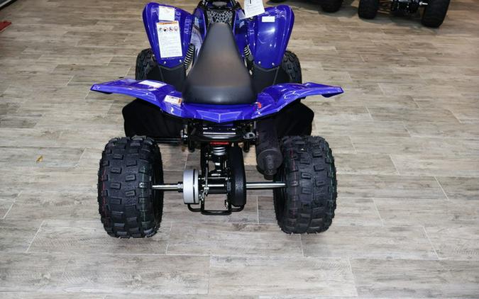 2025 Yamaha Raptor 110