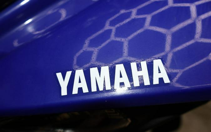 2025 Yamaha Raptor 110