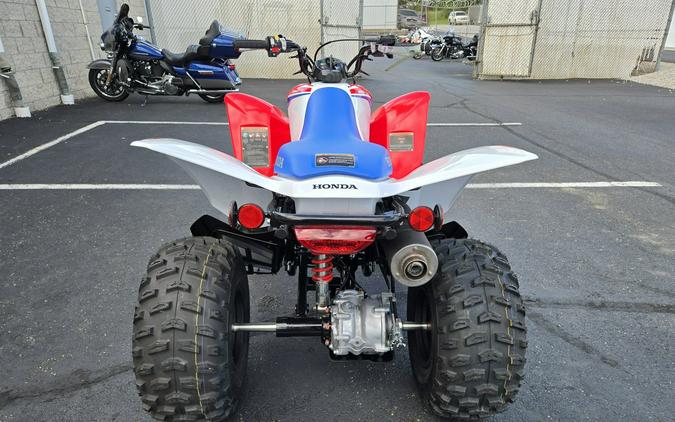 2026 Honda TRX250X