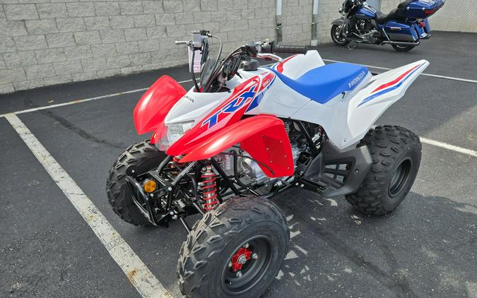 2026 Honda TRX250X