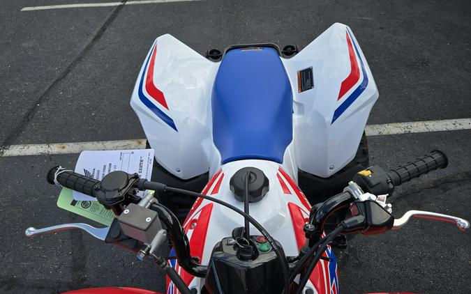 2026 Honda TRX250X