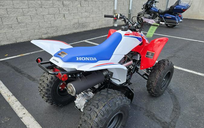 2026 Honda TRX250X