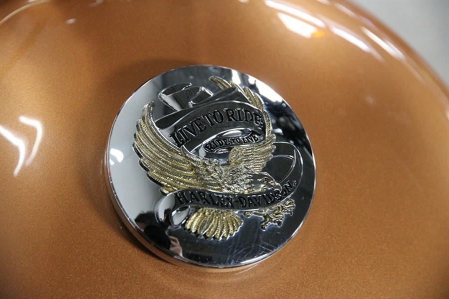2008 HARLEY DAVIDSON Sportster 1200 Low
