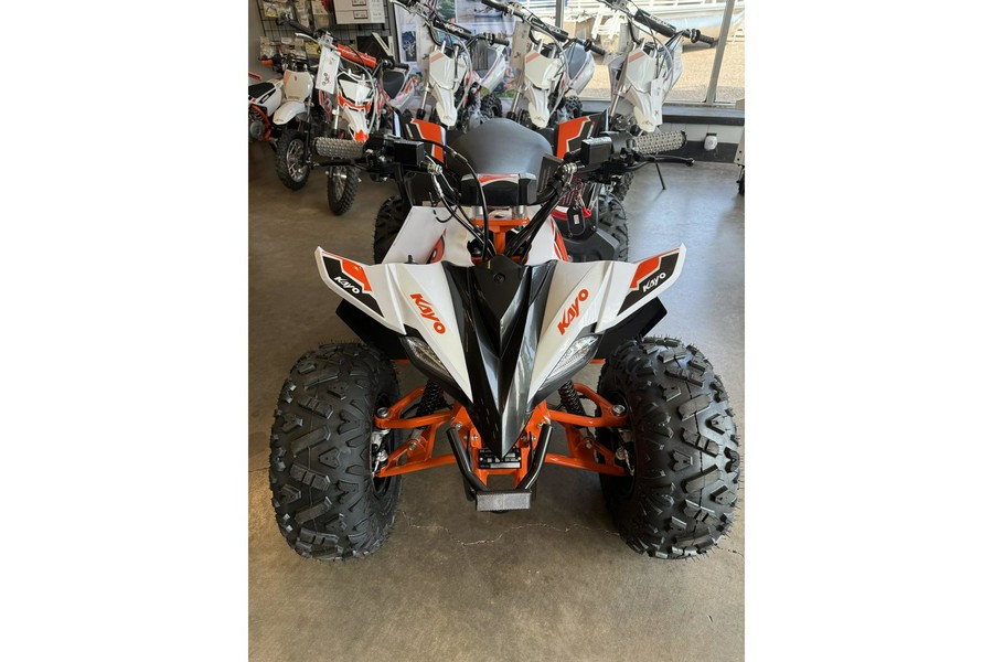2025 Kayo PREDATOR 110