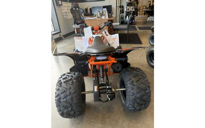 2025 Kayo PREDATOR 110