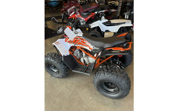 2025 Kayo PREDATOR 110