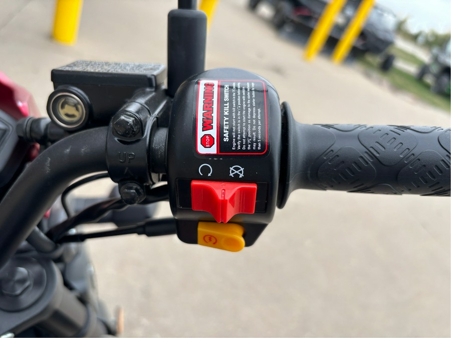 2024 Bintelli Beast 49 cc