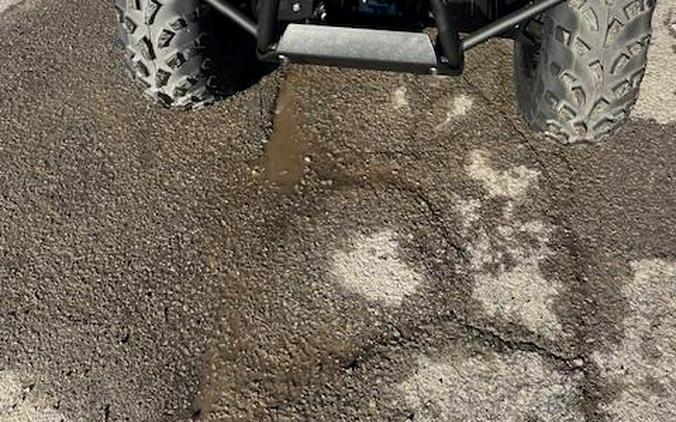 2025 Suzuki King Quad 400 ASI SE