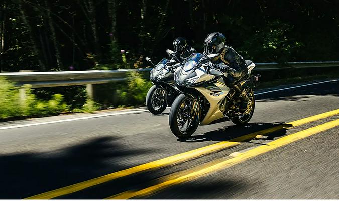 2025 CFMOTO SS 300