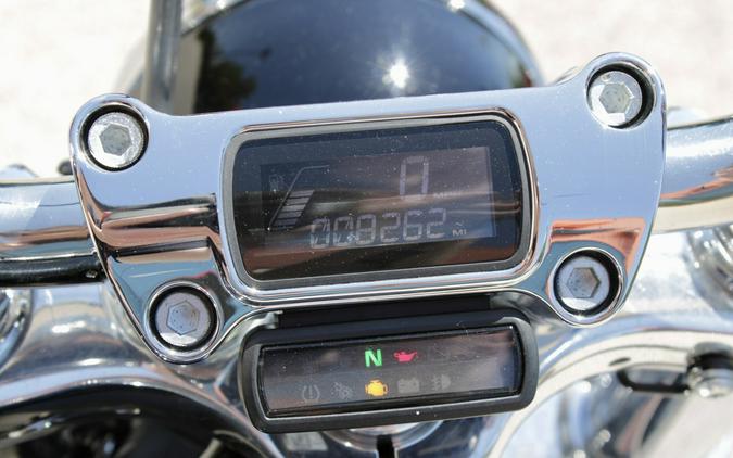 Used 2021 Harley-Davidson Softail Standard Cruiser Motorcycle For Sale In Medina, OH