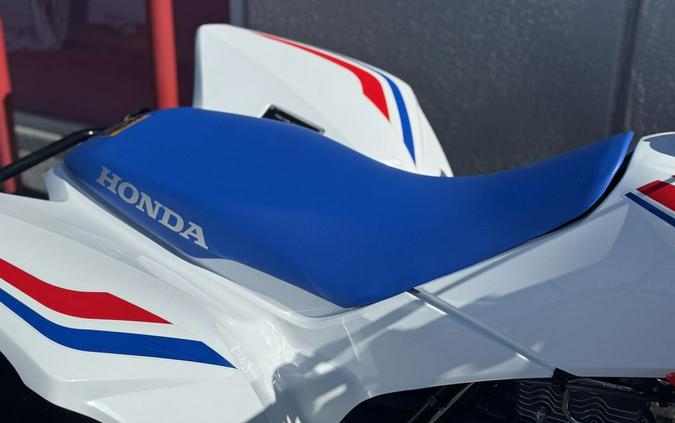 2026 Honda® Trx250X - 202679