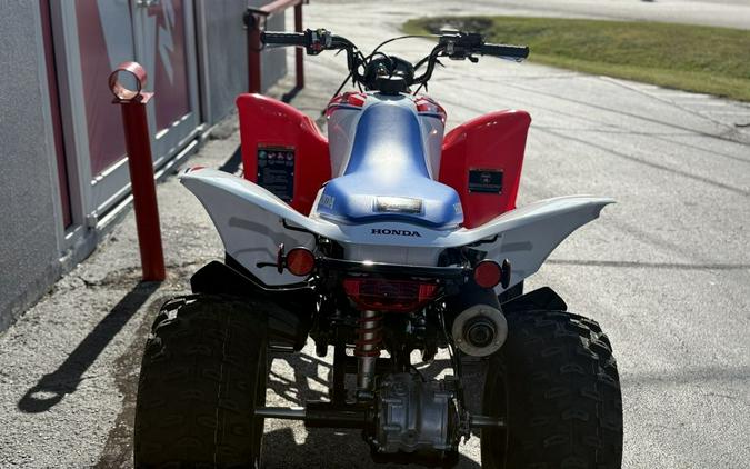 2026 Honda® Trx250X - 202679