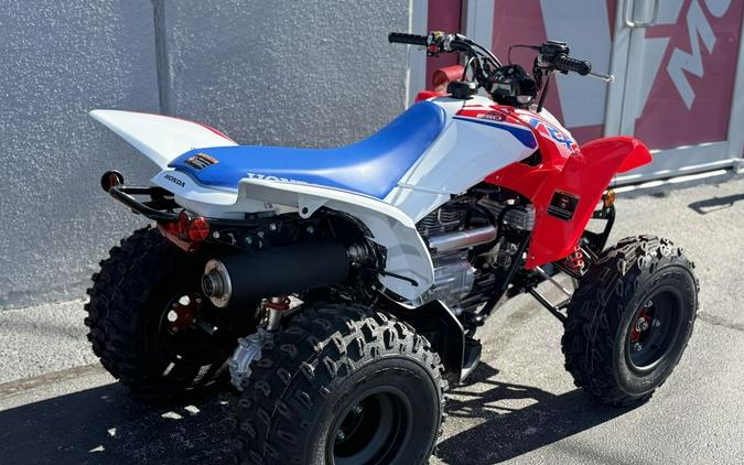 2026 Honda® Trx250X - 202679