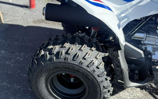 2026 Honda® Trx250X - 202679