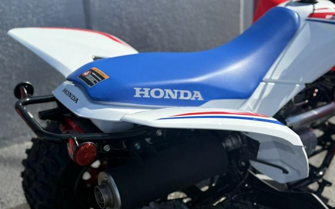 2026 Honda® Trx250X - 202679