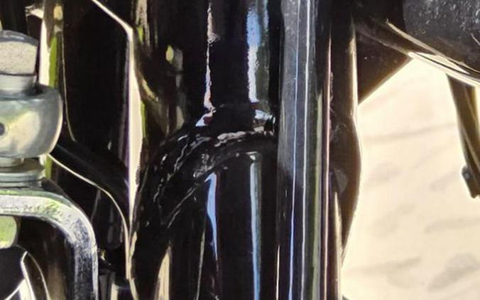2024 Harley-Davidson Road Glide®