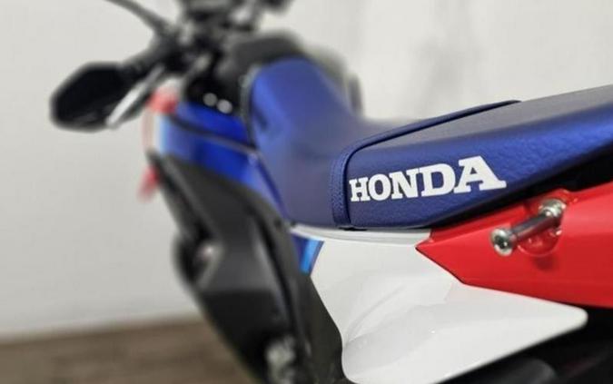 2025 Honda® CRF300L Rally ABS