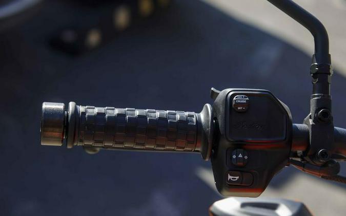 2024 Indian Motorcycle® FTR Indy Red/Black