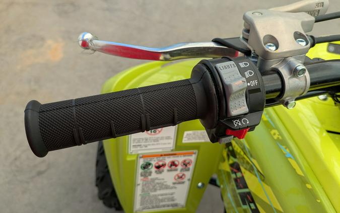 2026 Yamaha Raptor 700R SE