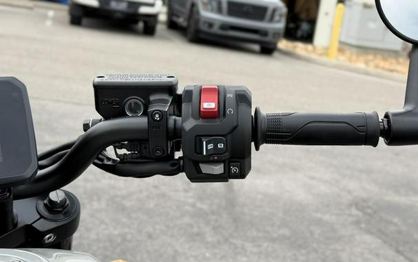 2026 Honda® Rebel 1100 DCT SE
