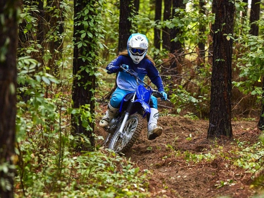 2024 Yamaha Motor Corp., USA TT-R125LE