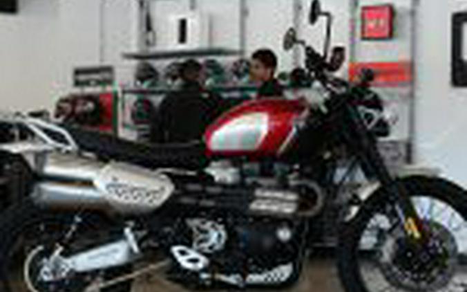 2022 Triumph Scrambler XC 1200 Gold Line