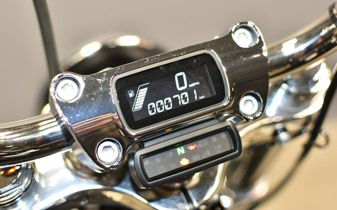 2023 Harley-Davidson Softail Standard FXST