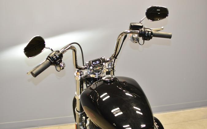 2023 Harley-Davidson Softail Standard FXST