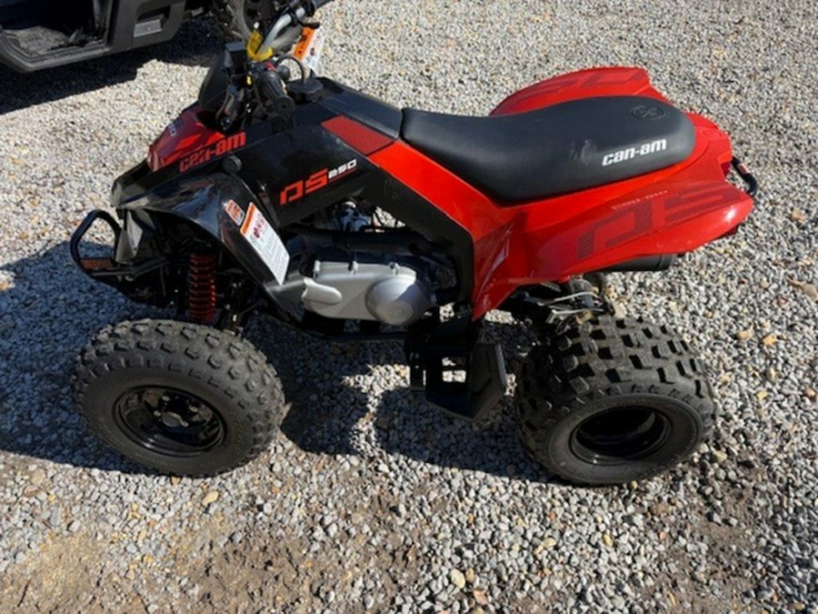 2026 Can-Am DS 250