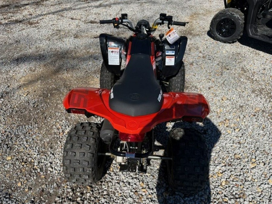 2026 Can-Am DS 250