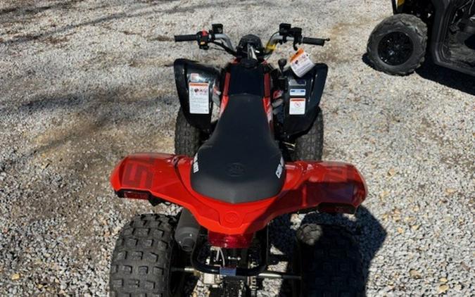 2026 Can-Am DS 250