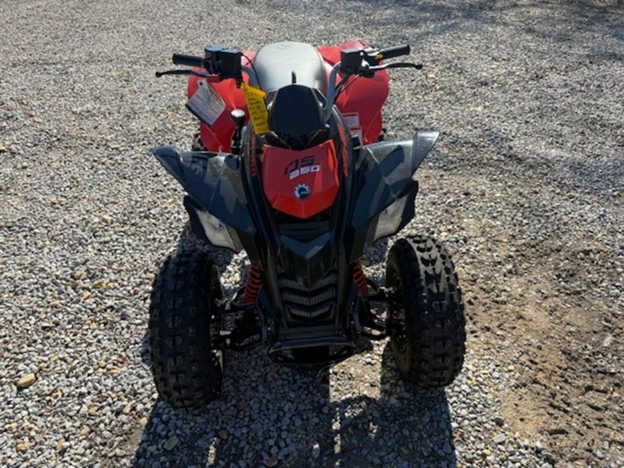 2026 Can-Am DS 250