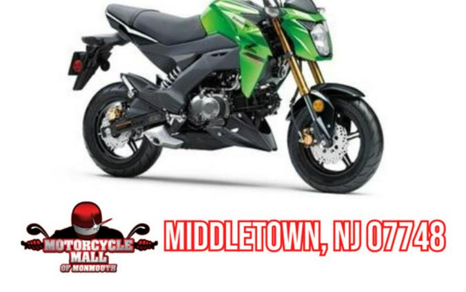 2024 Kawasaki Z125 PRO Base