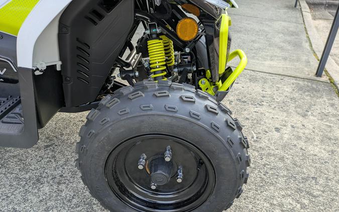 2024 CFMOTO CForce EV110