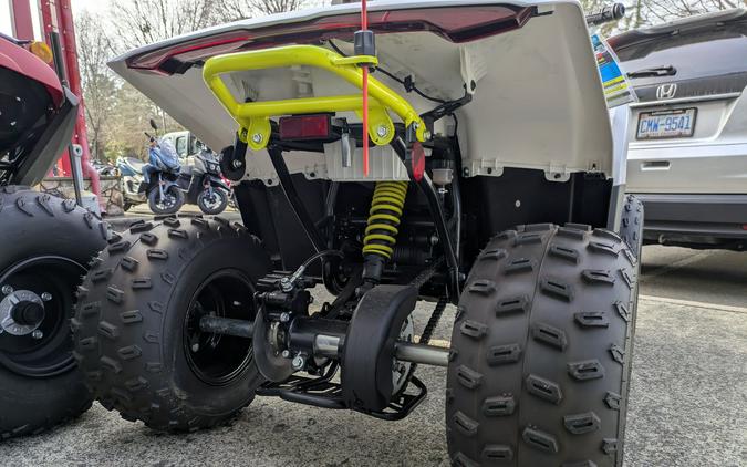 2024 CFMOTO CForce EV110