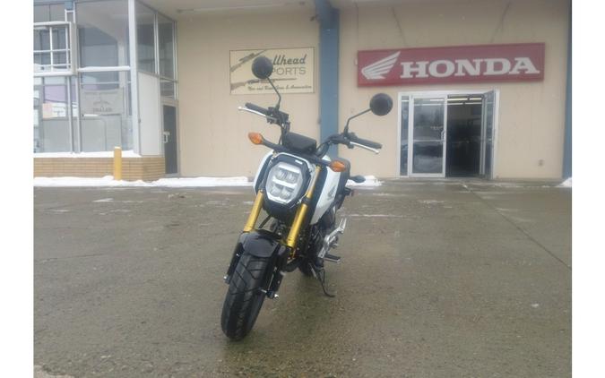 2024 Honda GROM125AR