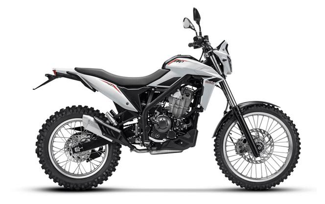 New 2026 Beta ALP 4.0