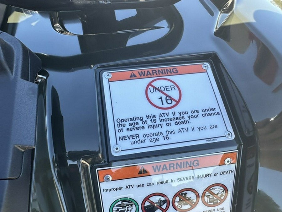 2026 Honda FourTrax Foreman Rubicon 4x4 EPS