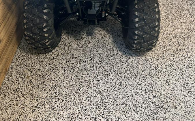 2025 CFMOTO CFORCE 500