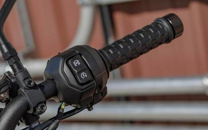 2024 Indian Motorcycle® FTR Sport Storm Gray/Red