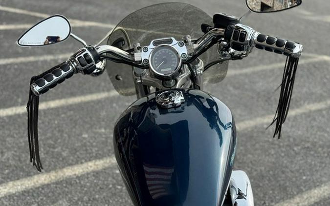 2004 Harley-Davidson Sportster XL883C - Custom 883