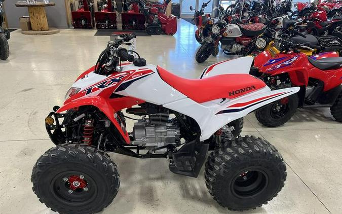 2024 Honda® TRX250X