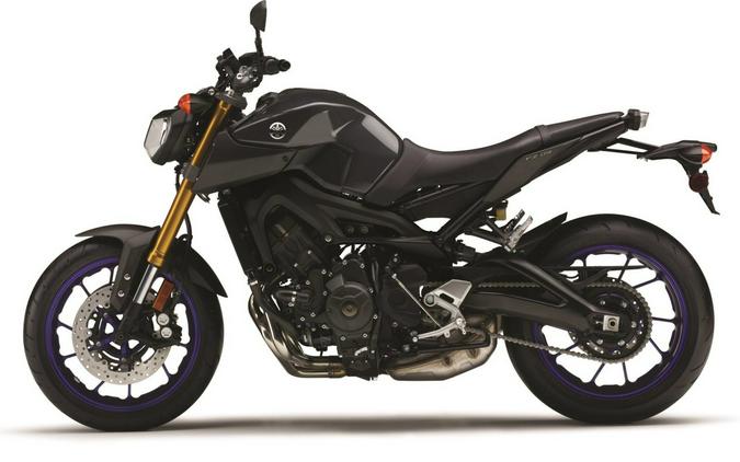 2014 Yamaha FZ-09 (CASH PRICE)